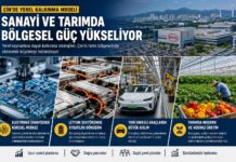 Çin'de Yerel Kalkınma Modelleri
