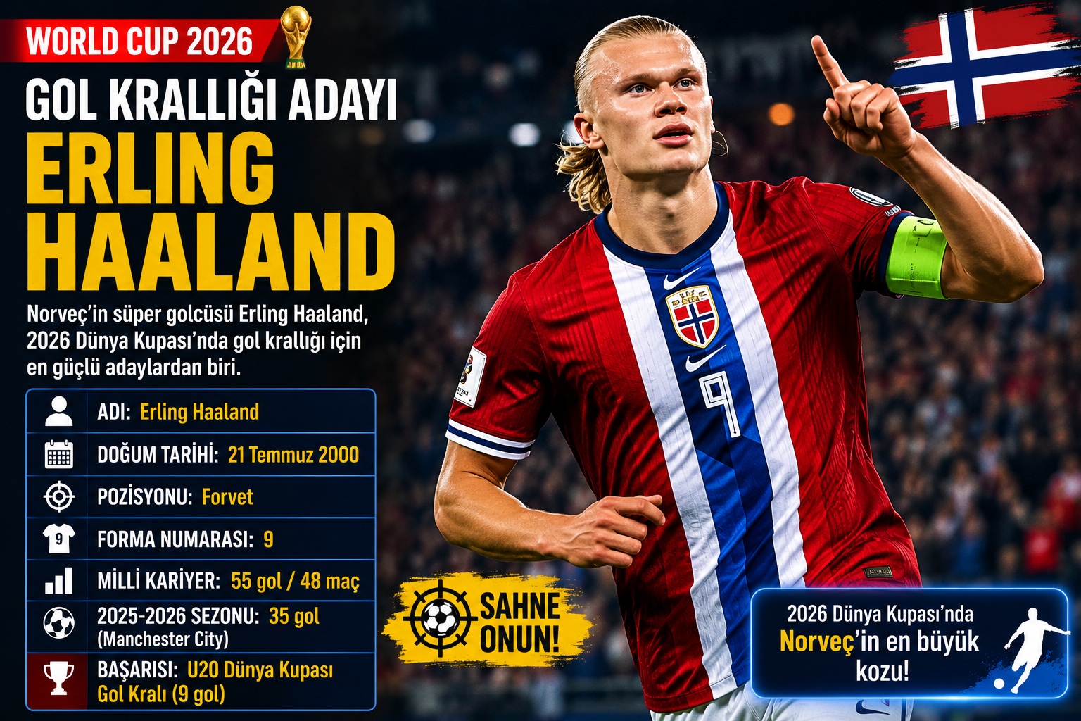 Erling Haaland