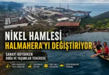 IWIP Bölgenin Dev Sanayi Kompleksi