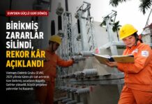 Vietnam Elektrik Devi EVN