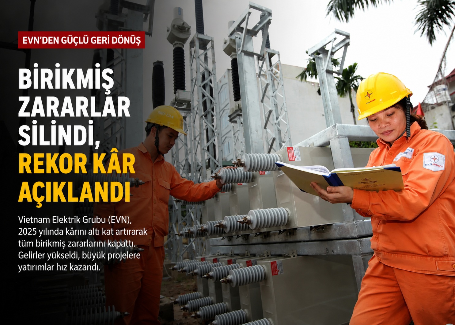 Vietnam Elektrik Devi EVN