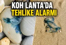 Koh Lanta’da Alarm: Plajlar Geçici Olarak Kapatıldı